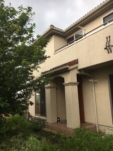 S__74539043